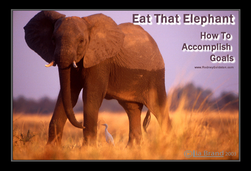 Eat That Elephant – How To Accomplish Goals
